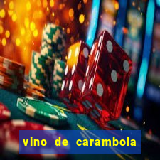 vino de carambola stardew valley